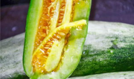 网红吃瓜爆料情报处,揭秘娱乐圈幕后真相，吃瓜群众齐围观