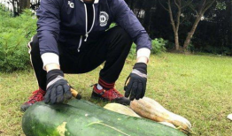 南体奥院吃瓜爆料,吃瓜爆料揭秘校园幕后故事