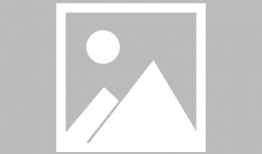 citrus动漫,色彩斑斓的青春记忆